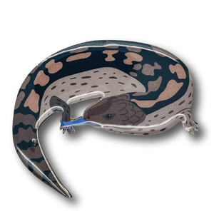 Bluetongue Lizard Brooch