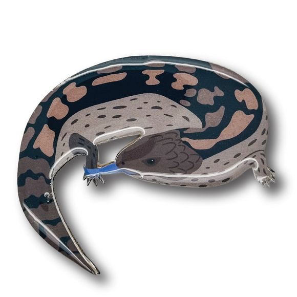 Bluetongue Lizard Brooch