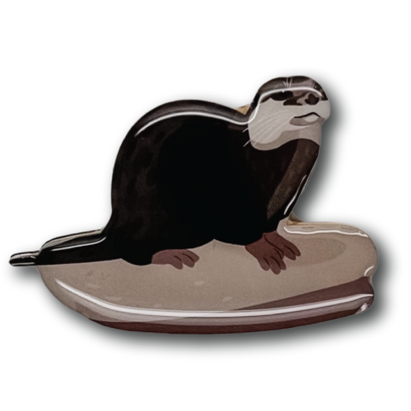 Asian Small-clawed Otter Brooch