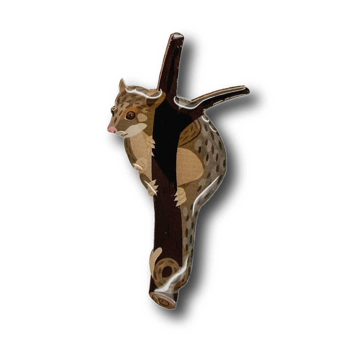 Ringtail Possum Brooch