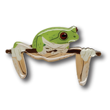 Red-eyed Green Tree Frog Brooch