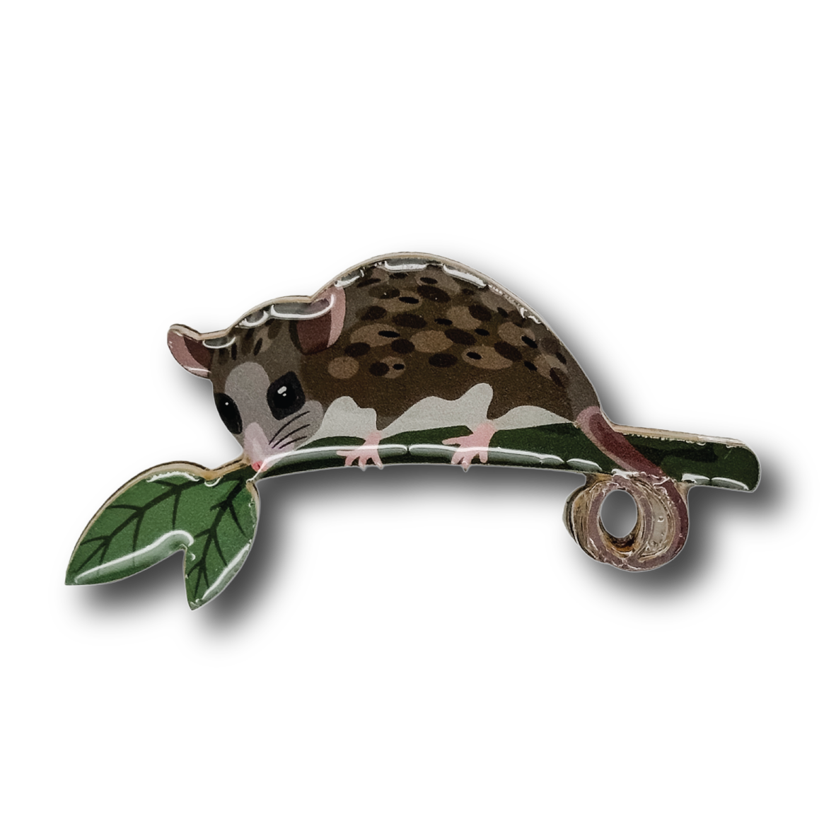Mountain Pygmy Possum Brooch