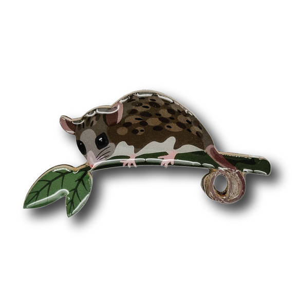 Mountain Pygmy Possum Brooch