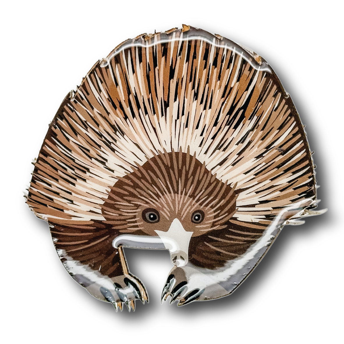 Short-beaked Echidna Brooch
