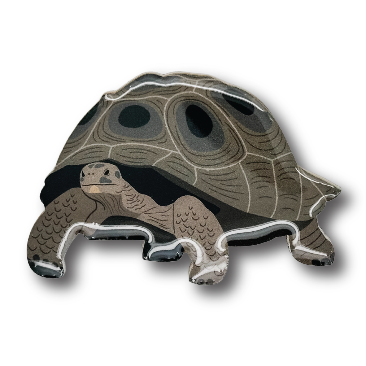 Galapagos Tortoise Brooch