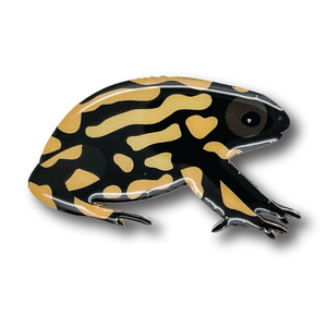 Southern Corroboree Frog II Brooch