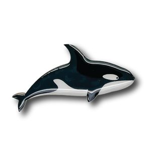 Orca Brooch