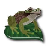 Spotted Tree Frog Brooch