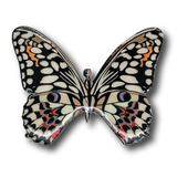 Butterfly VI Brooch