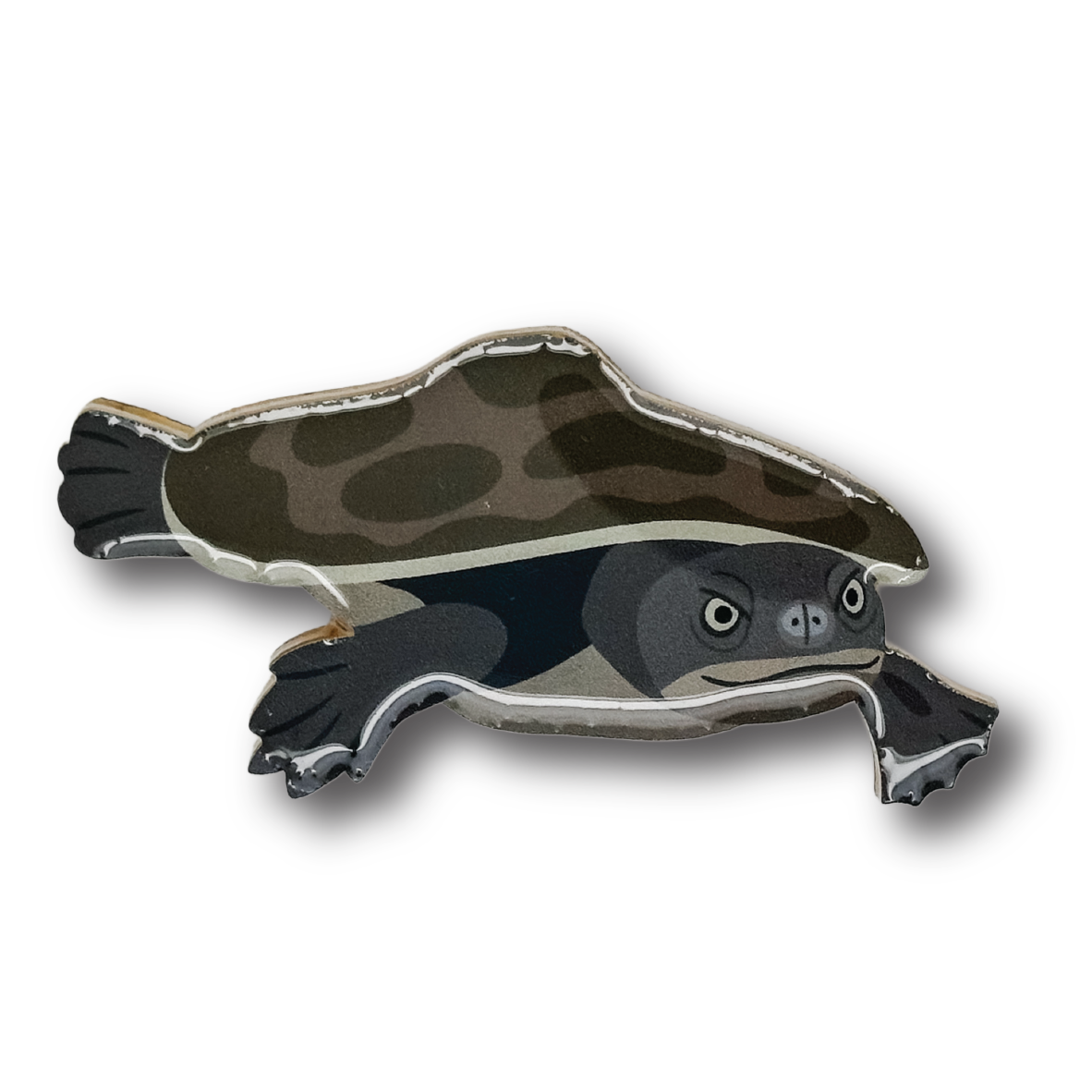 Short-necked turtle Brooch
