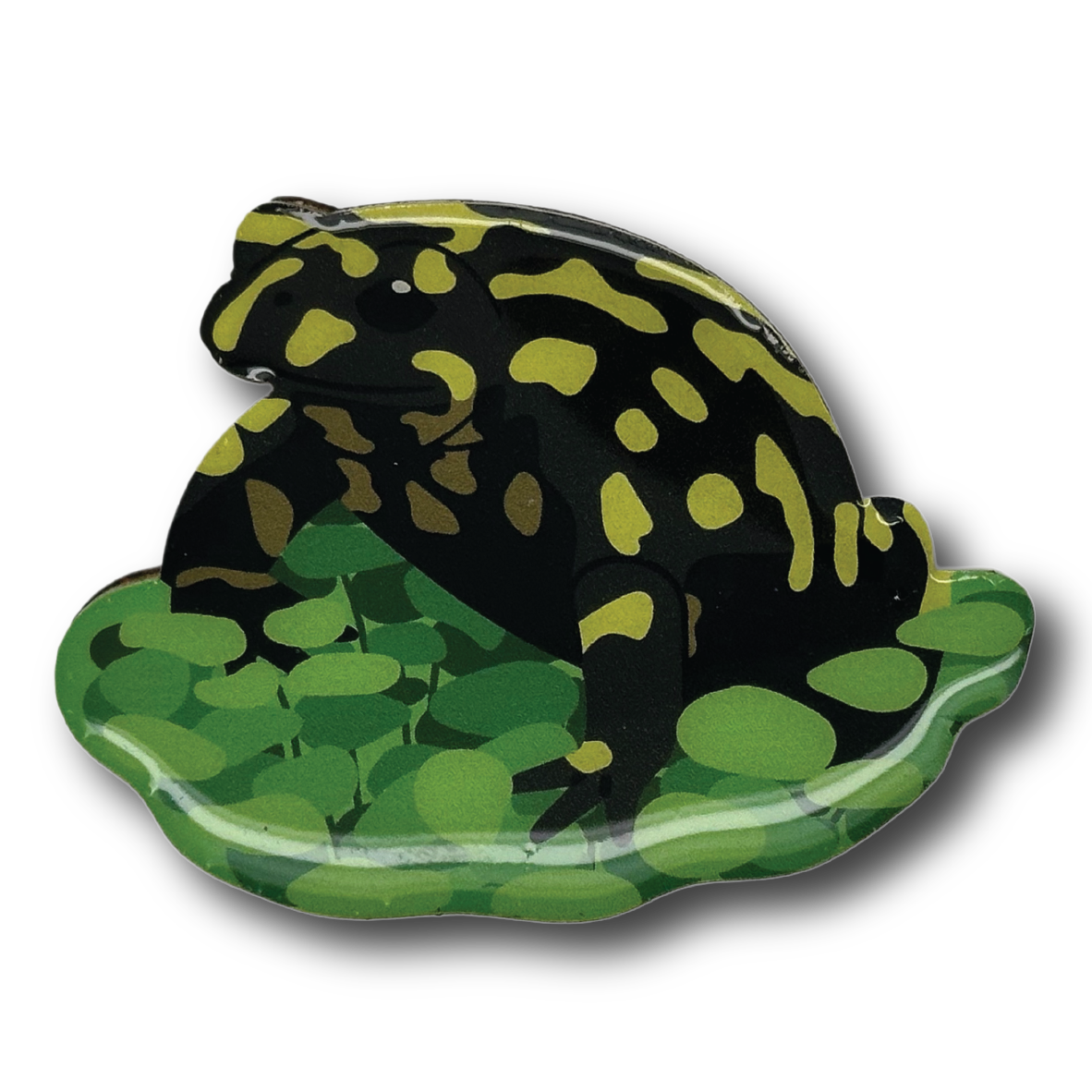 Southern Corroboree Frog I Brooch