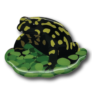 Southern Corroboree Frog I Brooch