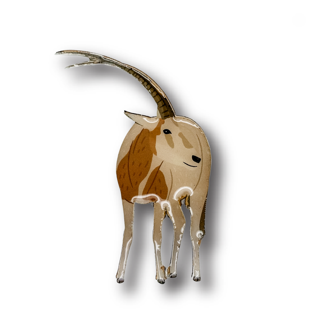 Scimitar-horned Oryx Brooch