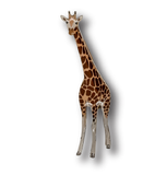Giraffe (I) Brooch