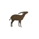 Saola Brooch
