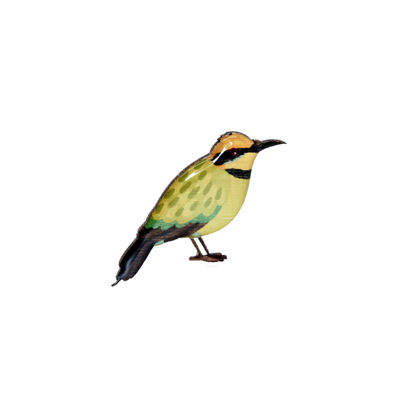 Bee-eater - Rainbow Bee-eater Brooch