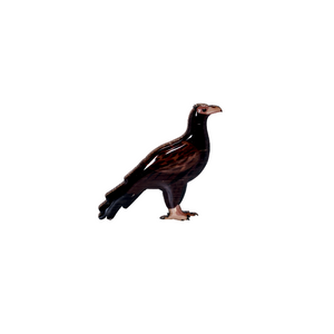 Eagle - Wedge-tailed Eagle Brooch
