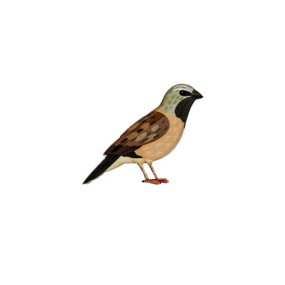 Finch - Black-throated Finch Brooch