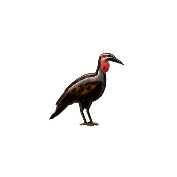 Hornbill - Ground Hornbill Brooch