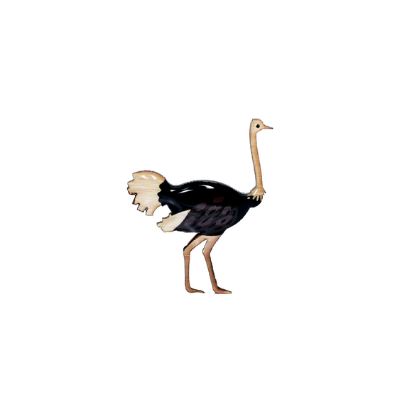 Ostrich Brooch