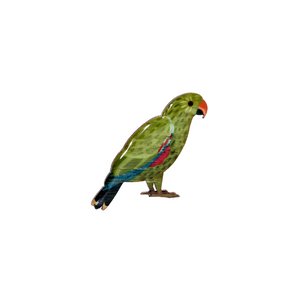 Parrot - Eclectus Parrot II Brooch