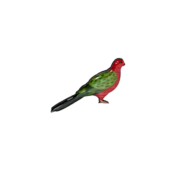 Parrot - King Parrot Brooch