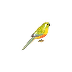 Parrot - Orange-bellied Parrot Brooch