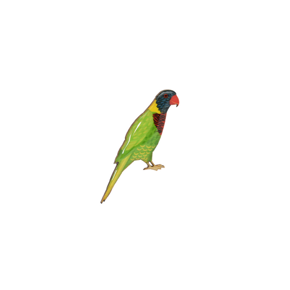 Parrot - Rainbow Lorikeet I Brooch
