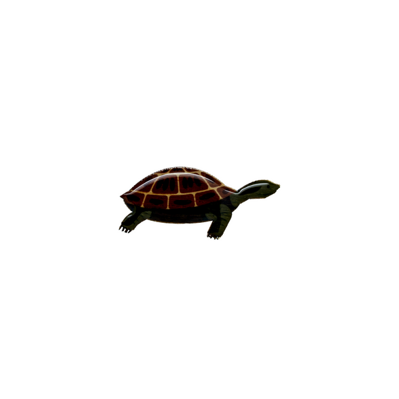 Turtle Brooch