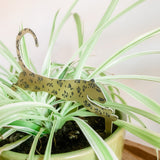 Dashing Spots
