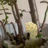 Jungle Sentinel