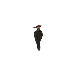 Woodpecker - Pileated Woodpecker Brooch