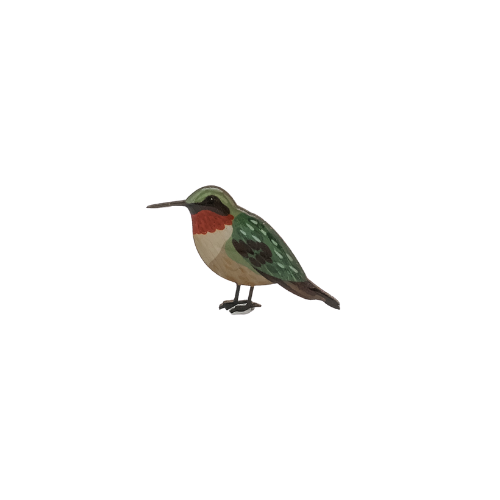Hummingbird - Ruby-throated Hummingbird Brooch